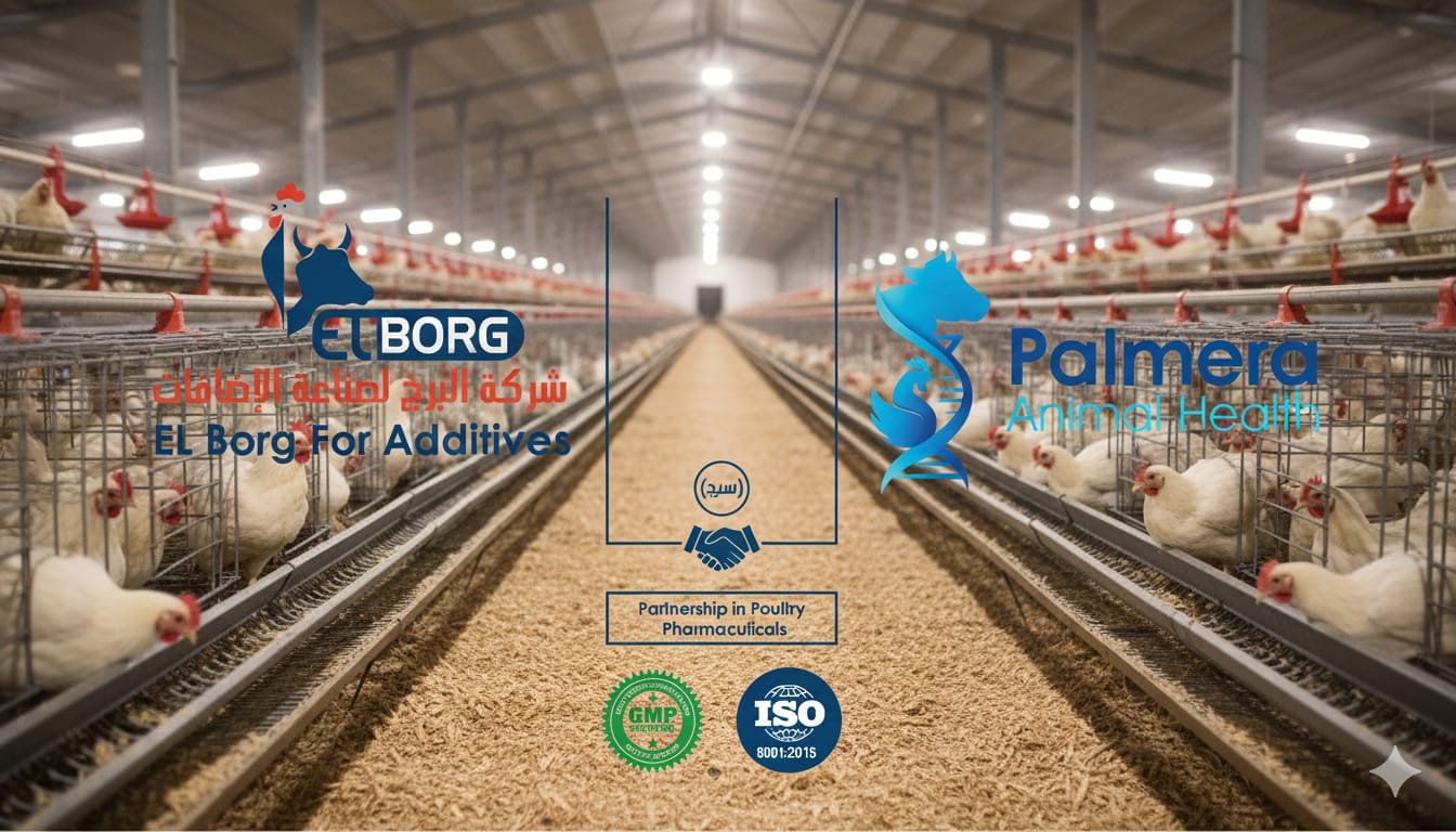 Palmera & ELBORG Partnership in Modern Poultry House