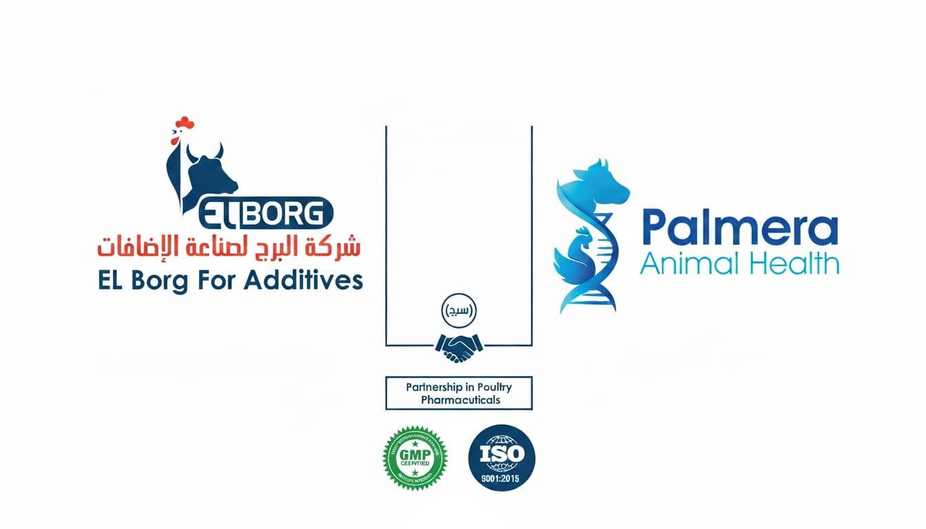 Palmera & ELBORG Alliance